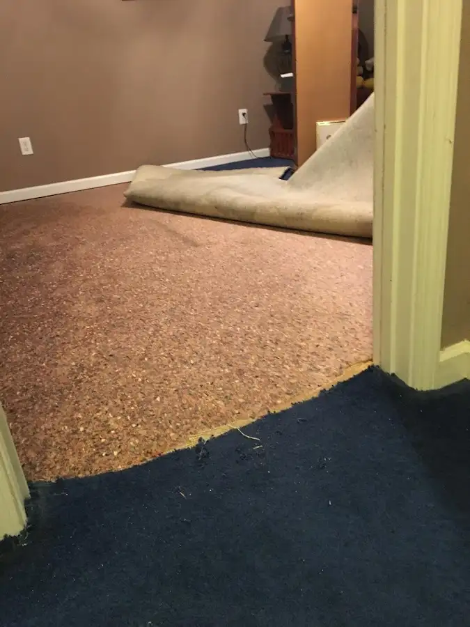 Carpet pad removal revealing water damage during Drying & Dehumidification in Sauk Rapids