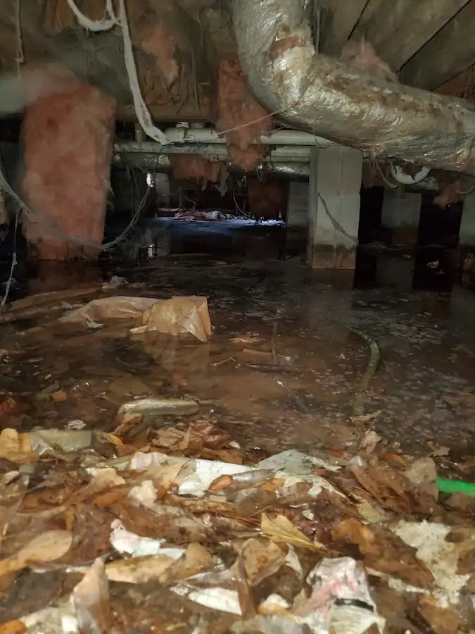 Crawl space flood assessment for Leak Detection & Repair in Sauk Rapids